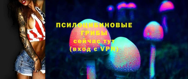 ALPHA PVP Аркадак