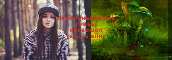 ALPHA PVP Аркадак
