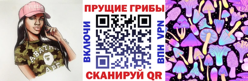закладки  Салаир  Галлюциногенные грибы мицелий 